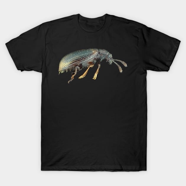 Very small fungus beetle under the microscope T-Shirt by SDym Photography